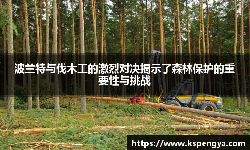 333体育官网