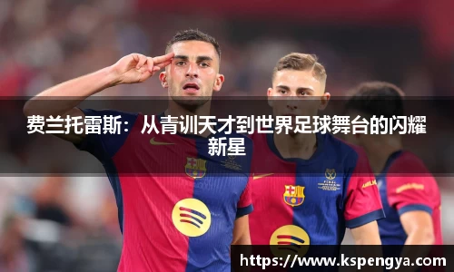 333体育官网